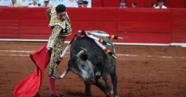 parlamento abierto corridas toros