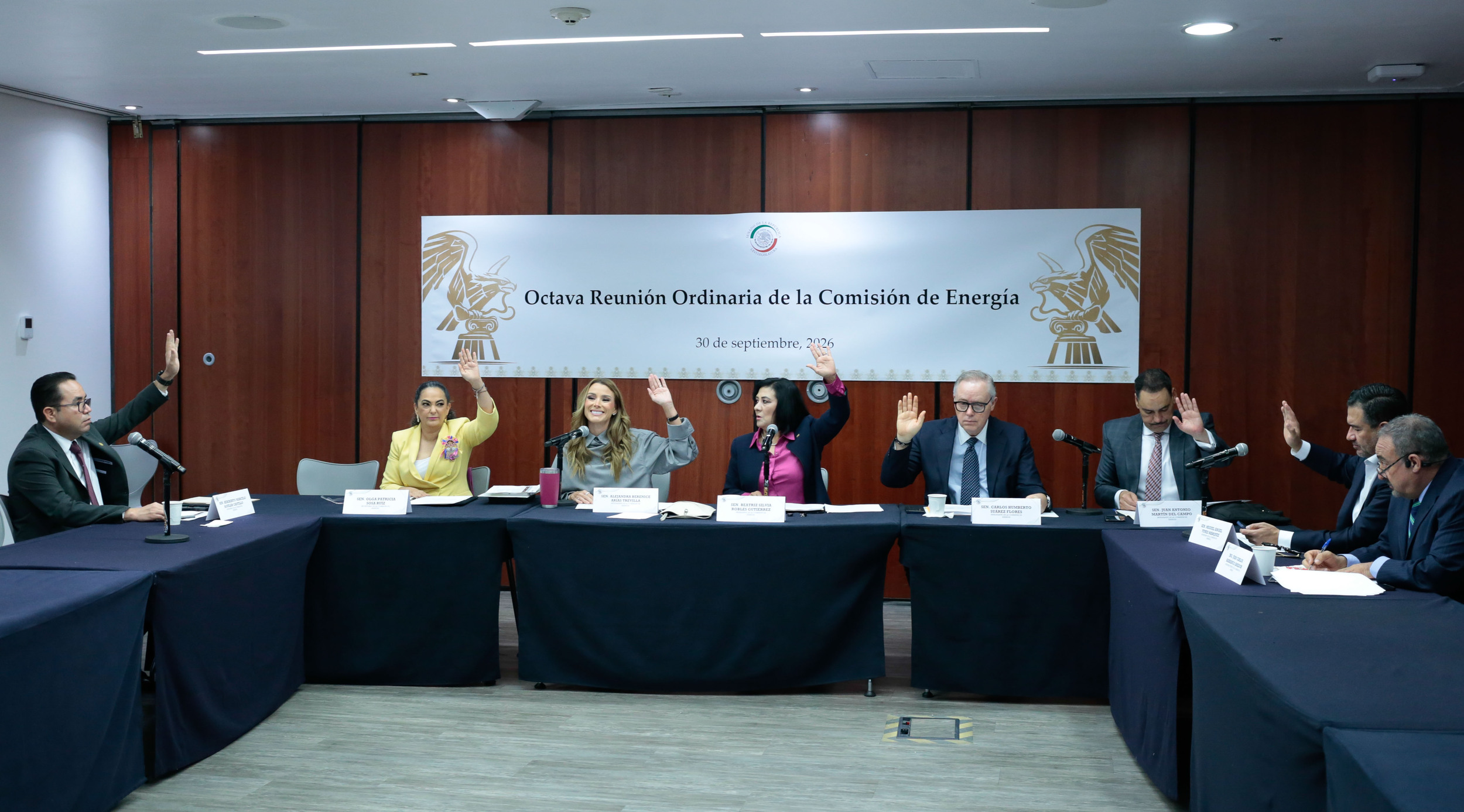 Comisión de Energía fortalecerá soberanía, seguridad, sustentabilidad y justicia energética