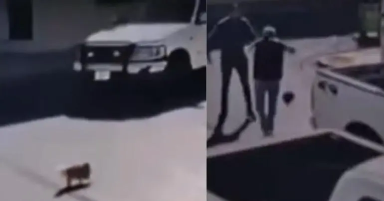 hombre golpea a abuelito por atropellar a su perro en piedras negras