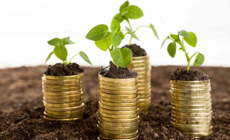 Rediseñar el consumo energético en la era del impuesto verde