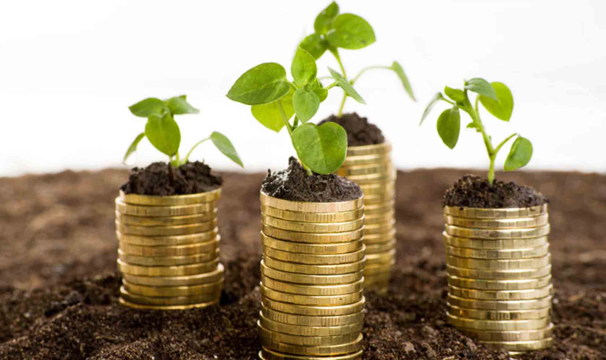 Rediseñar el consumo energético en la era del impuesto verde