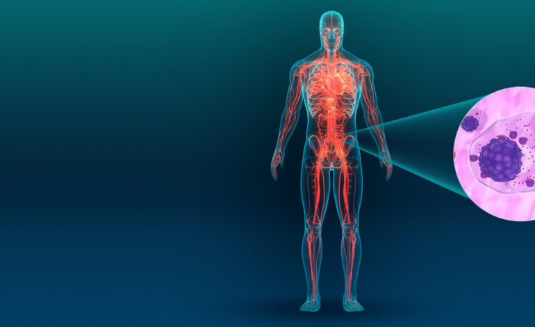 Un nuevo blanco terapéutico contra el mieloma múltiple: el rol del colesterol y el hierro