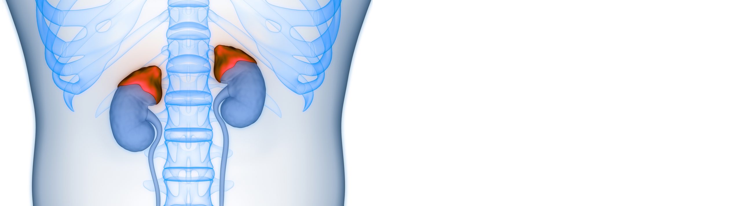 La nueva era en cirugía de cáncer suprarrenal con tecnología robótica de última generación