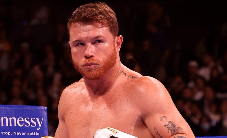 pic 1 canelo plant 1g174lz3k6ocu1p0markm3bh71