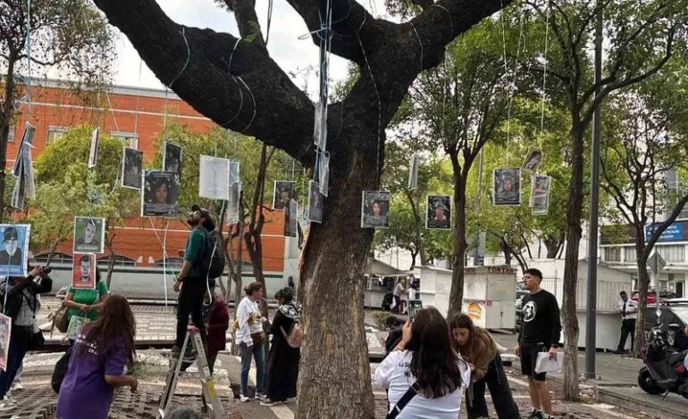 Madres buscadoras instalan El Árbol de la Esperanza en CDMX