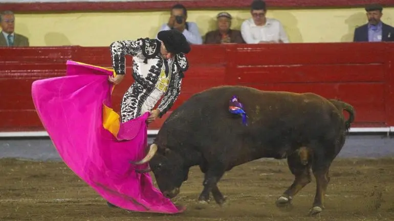 plaza toros mexico ve inviable corridas sin sangre