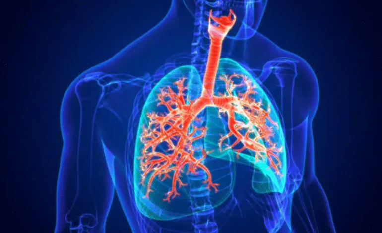 Innovación en el manejo de enfermedades respiratorias: inmunización y educación médica continua como ejes de transformación
