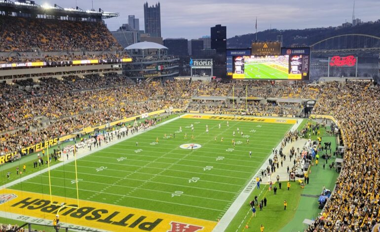 STEELERS PITSBURGH FOTO1