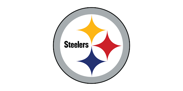 STEELERS PITSBURGH FOTO2