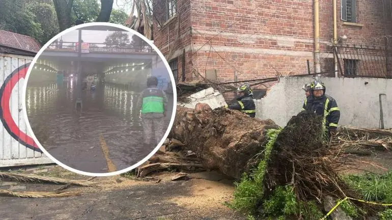 destrozos lluvias 19 julio