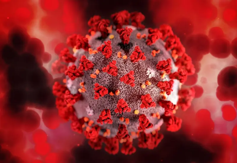 Confirman 12 muertes por sarampión en México, según SSA: “El brote está limitado a Chihuahua”