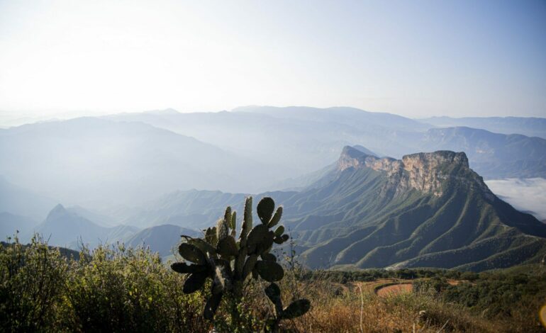 Plata Investment: Plataforma de inversión en metales preciosos mexicanos