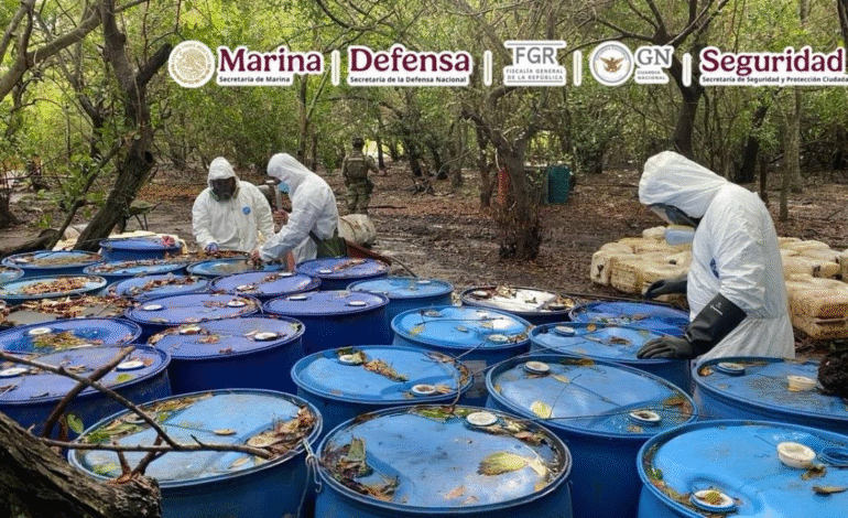Aseguran 12.8 toneladas de metanfetamina en Nayarit; desmantelan narcolaboratorio