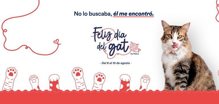 Día Internacional del Gato: PETCO reafirma su compromiso con el bienestar y el cuidado de los felinos
