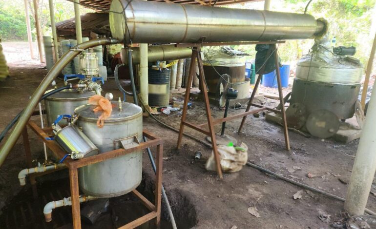 Harfuch confirma megadecomiso de 6 toneladas de drogas en Chiapas y Guerrero