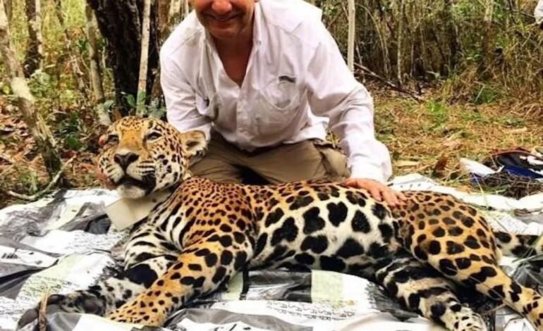 El jaguar mexicano: un símbolo de éxito en conservación del Dr. Gerardo Ceballos
