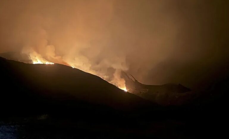 Los incendios en España queman ya casi 350.000 hectáreas, según datos satelitales de Copernicus
