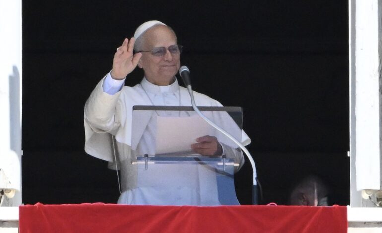Papa León XIV hace un llamado para detener la “pandemia de armas” en todo el mundo