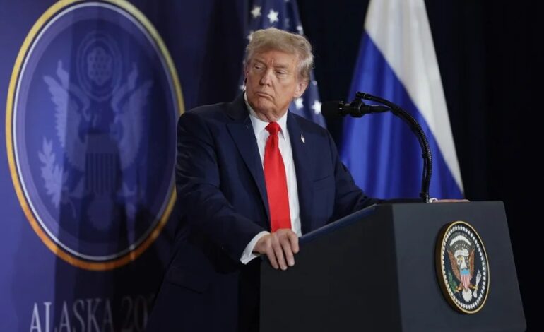 trump 7