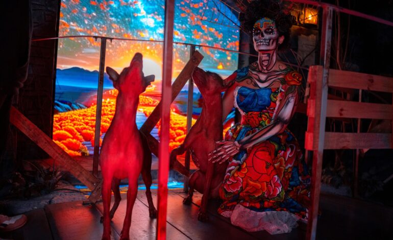 Regresa “Un Viaje al Mictlán” a la CDMX: la experiencia inmersiva premiada internacionalmente que revive el Día de Muertos