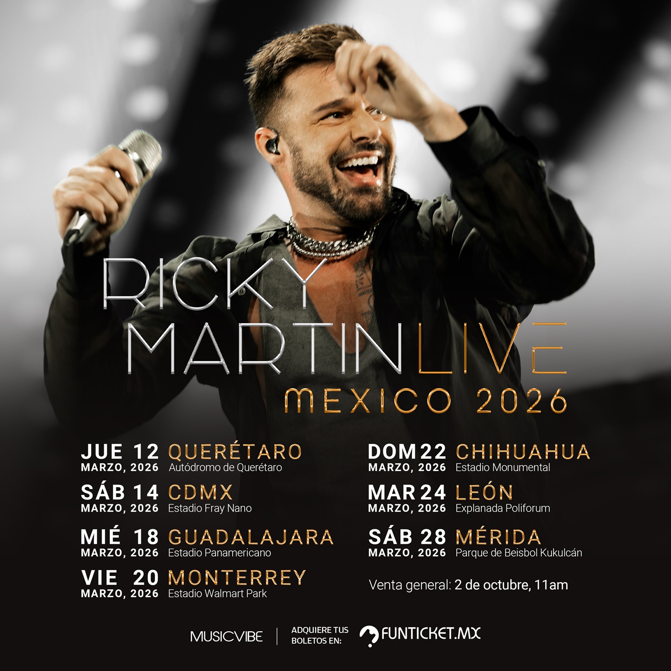 ricky martin RMLM26