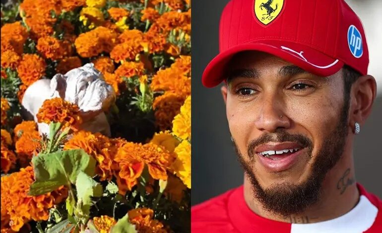 El GP de México recuerda a Roscoe, mascota de Hamilton