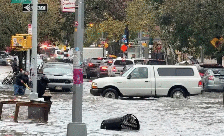 5037b43b 12e2 4d23 89dc 5c57ab37ab18