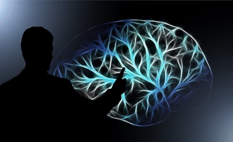 Hablar ms de un idioma cambia tu cerebro 1