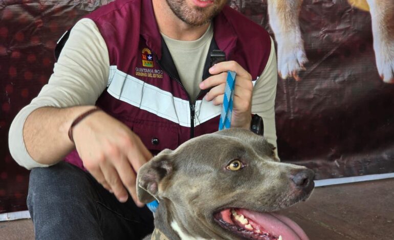 Óscar Rébora anuncia nuevas fechas de la Caravana de Bienestar Animal en Quintana Roo