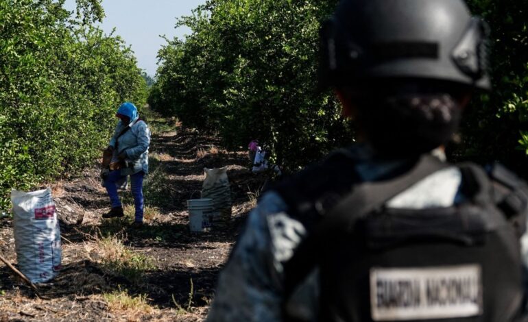 Harfuch confirma detención de Rigoberto “N”, extorsionador de limoneros en Michoacán