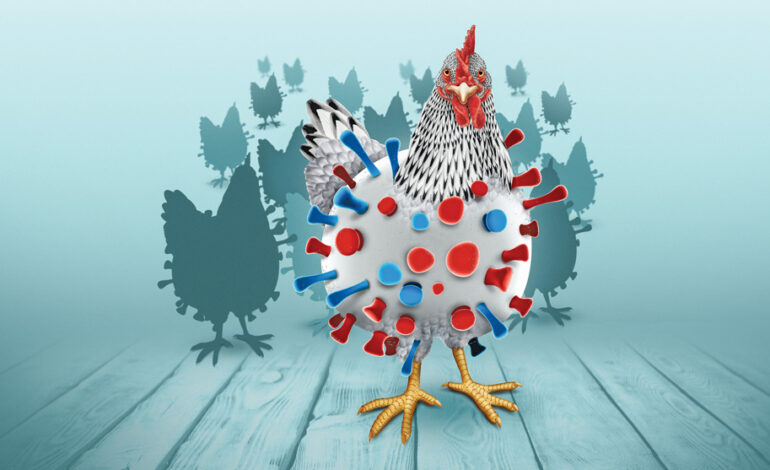 230316 aca4 des f1 gripe aviar