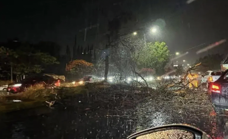 Veracruz emite ALERTA Gris ante amenaza de ‘Norte violento’