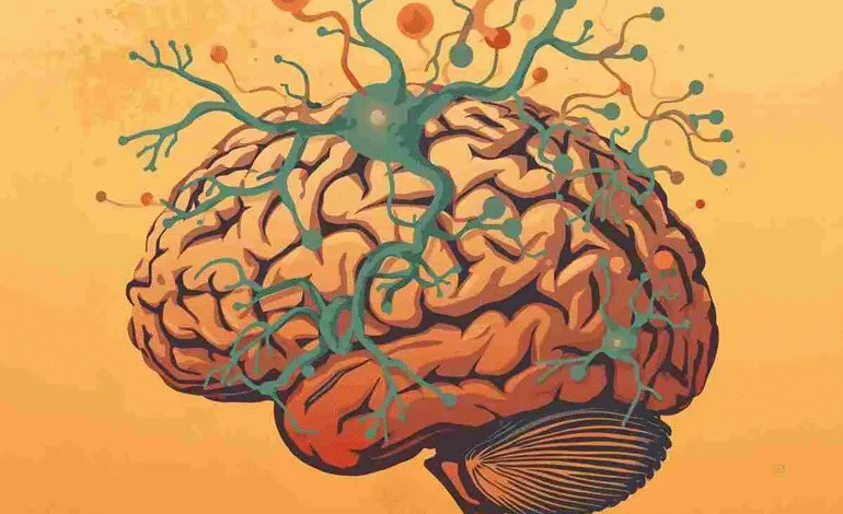 80e16251 587e 46c0 a305 0c93c31e24c1