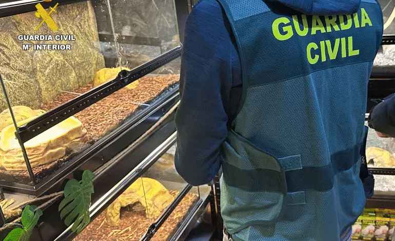 8c5851c8 f9a1 445d 8878 52b5e26a7221