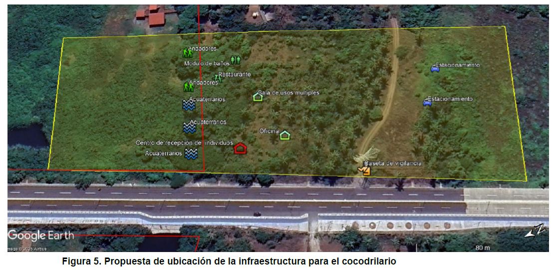 Presentan en la COP30 un modelo de convivencia entre humanos y cocodrilos para enfrentar el cambio climático en Michoacán