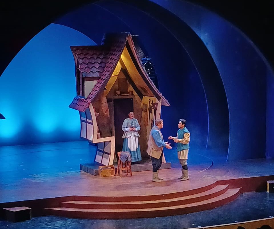 VILLA SANTA ALFOMBRA FOTO5 1