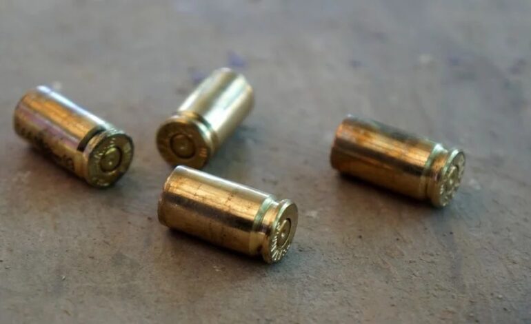 f960x540 130133 204208 5050