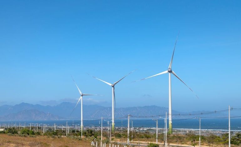 pexels pexels photo 6416358