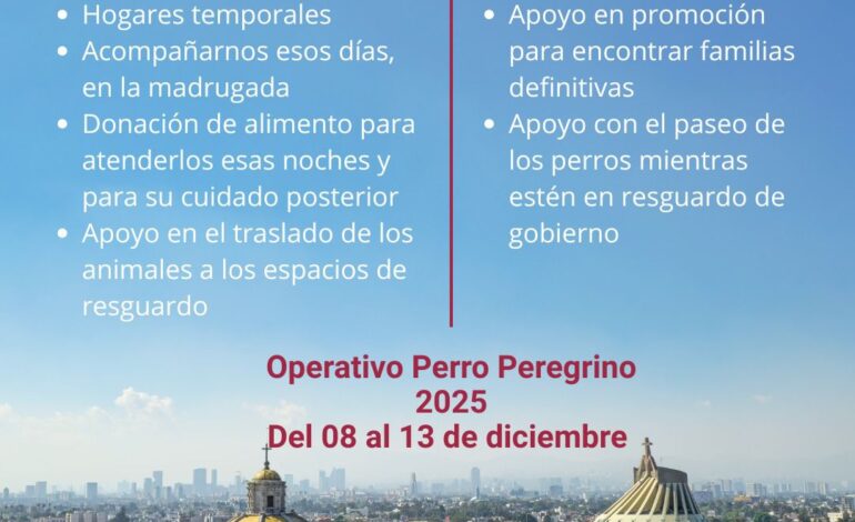 CDMX activa Operativo Perro Peregrino 2025 para atender abandono animal durante festejos guadalupanos