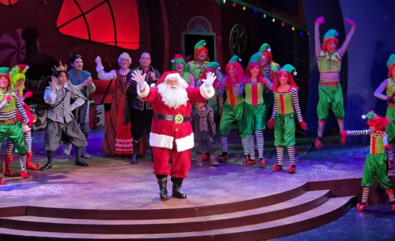 VILLA SANTA ALFOMBRA FOTO11