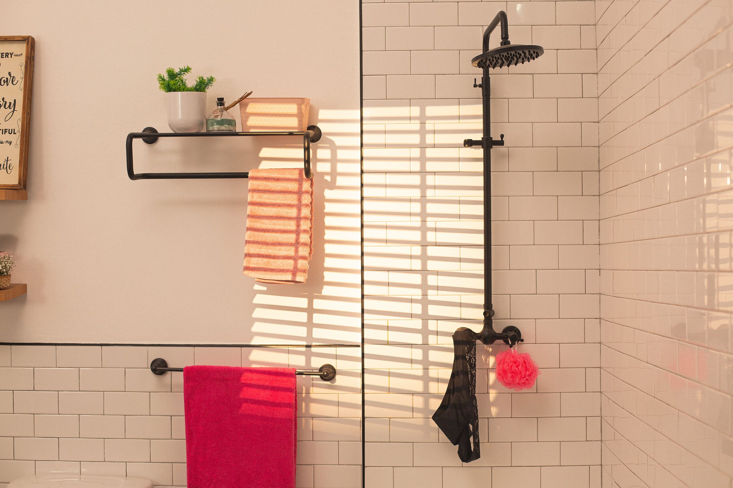 Saba: cuidados simples para la Zona V que impactan en el bienestar