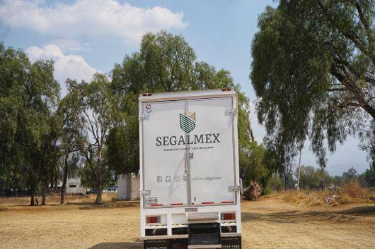 PHOTO 2026 01 20 11 31 08