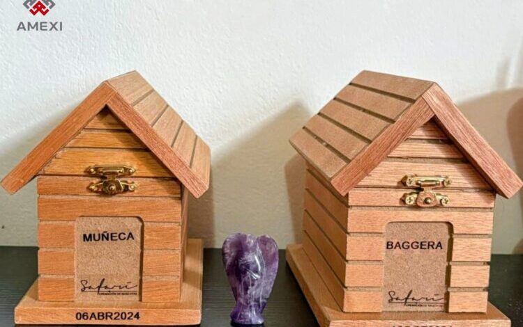 Urnas de mascotas 750x563 1