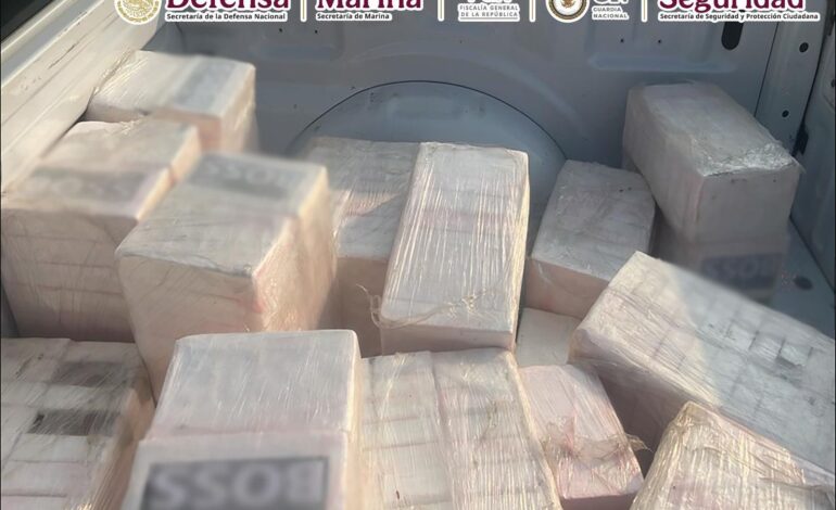 Decomisan media tonelada de droga en aeronave clandestina en Oaxaca: García Harfuch