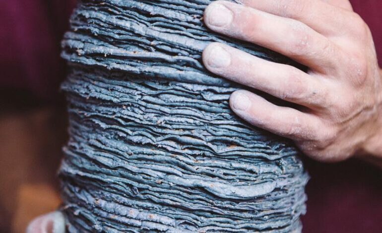 ‘Nativos del maíz’: El Farolito y SIEMBRE rinden homenaje al origen del taco y al maíz mexicano 