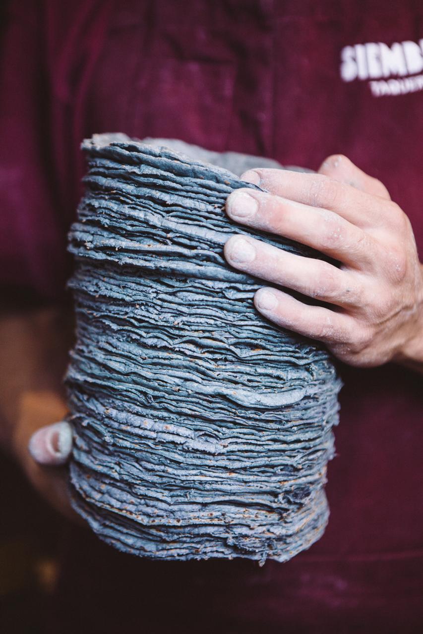 ‘Nativos del maíz’: El Farolito y SIEMBRE rinden homenaje al origen del taco y al maíz mexicano 