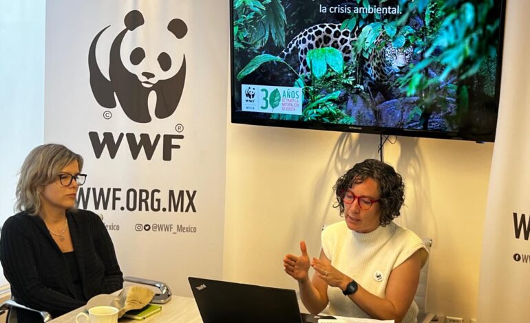 Urge WWF México a multiplicar esfuerzos para frenar la triple crisis ambiental