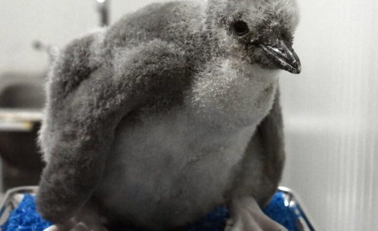 photo 2026 02 12 13 17 03 2 e1770924000304