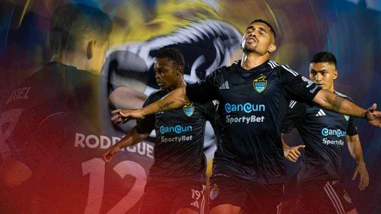 135639 1774018781877