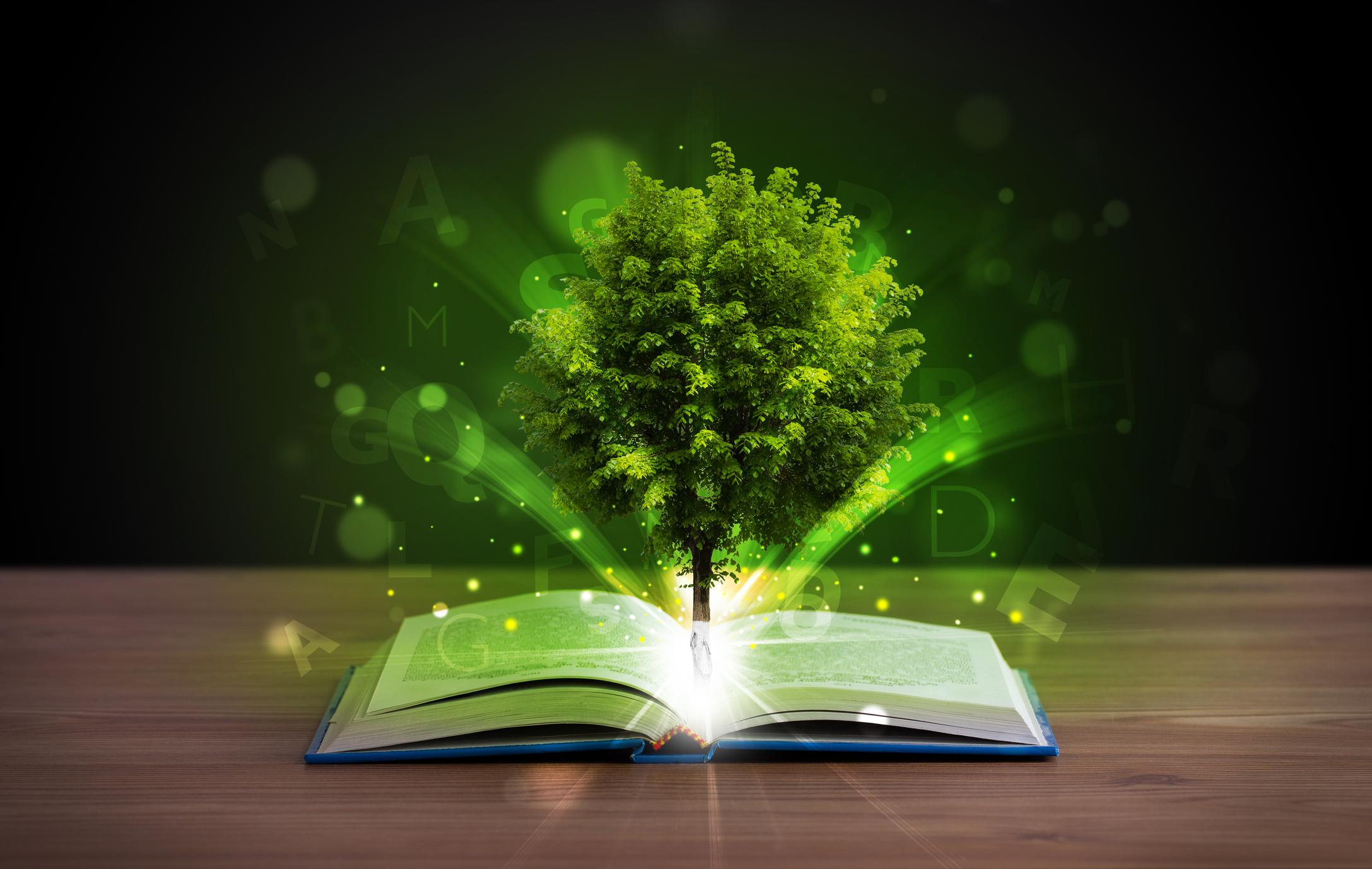 Niñas y niños mexicanos convierten la educación ambiental en acción climática